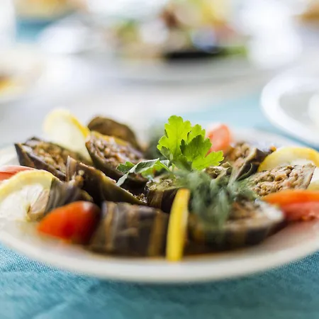 Hotel Katranci Park Fethiye